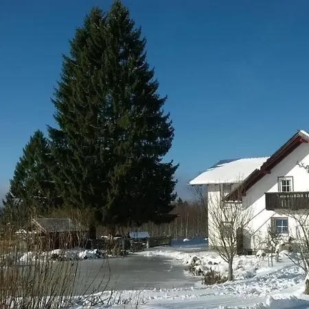 Haus Wasserwies1stock Apartment Haidmühle
